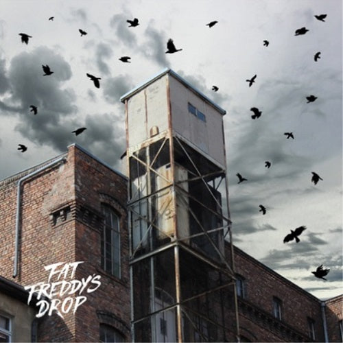 Fat Freddy's Drop - Blackbird Returns Album Cover
