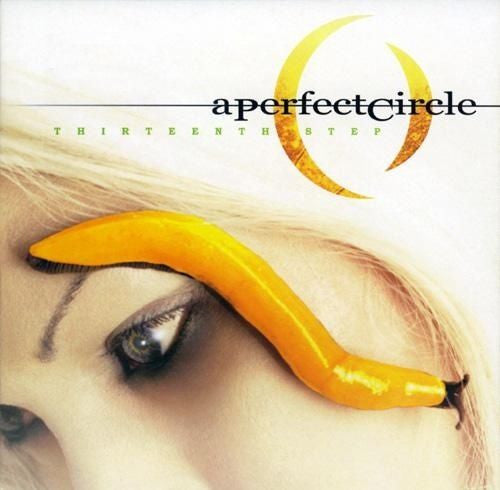 A Perfect Circle - Thirteenth Step Album Cover
