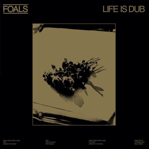 Foals - Life Is Dub (RSD 2023) Album Cover