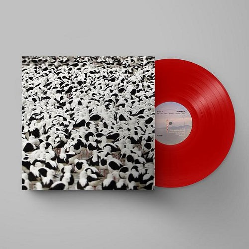 Stella Donnelly - Flood Red Vinyl